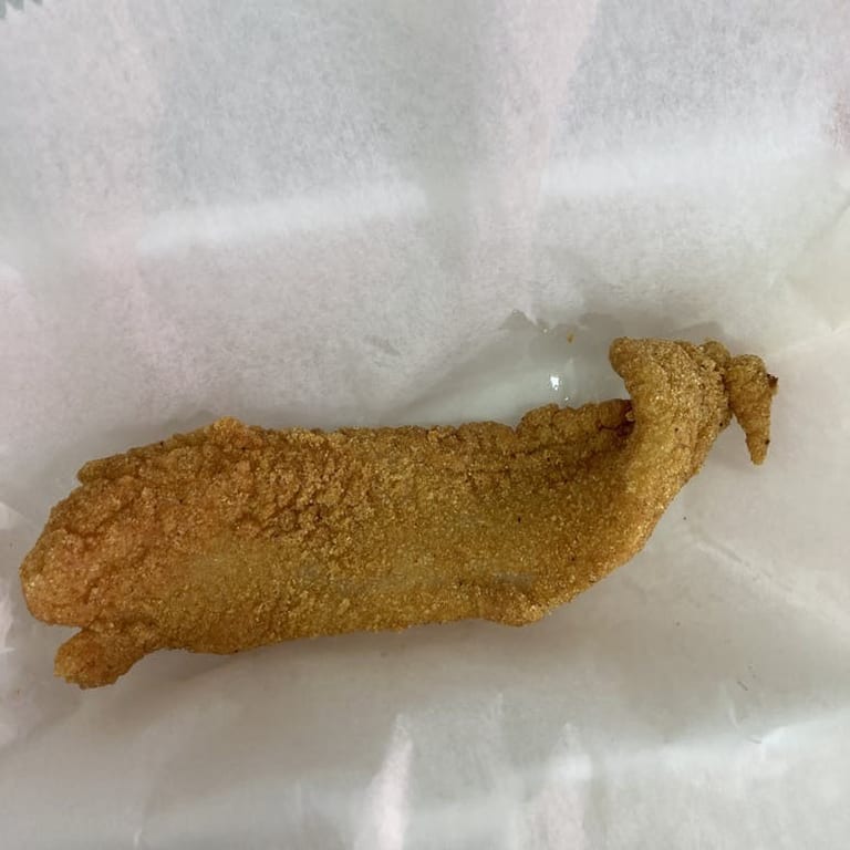Fresh Seafood Delights: From Fish Tacos to Grilled Salmon